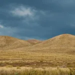 ein erfahrener tierarzt erklärt, welche lebensmittel für hunde giftig sind und wie sie ihre haustiere sicher vor vergiftungen schützen können.