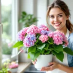 entdecken sie diesen einfachen küchentrick, mit dem ihre hortensien kräftiger und gesünder blühen. jetzt ausprobieren und beeindruckende blütenpracht genießen!