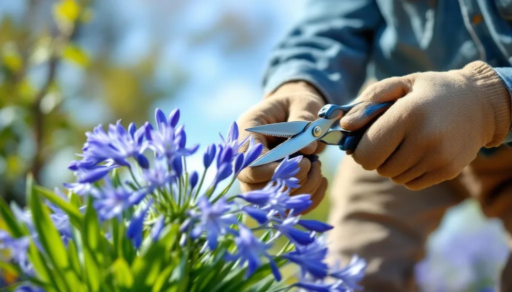 erfahre, warum der richtige schnitt im märz deinem agapanthus hilft, kräftig und gesund zu wachsen, und wie du ihn am besten durchführst.